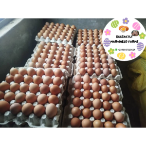 Crates Of Eggs