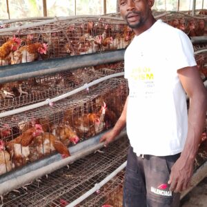 Health Poultry/ Chicken (Layers)